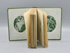 Thumbnail for Wayside and Woodland Ferns (1908)