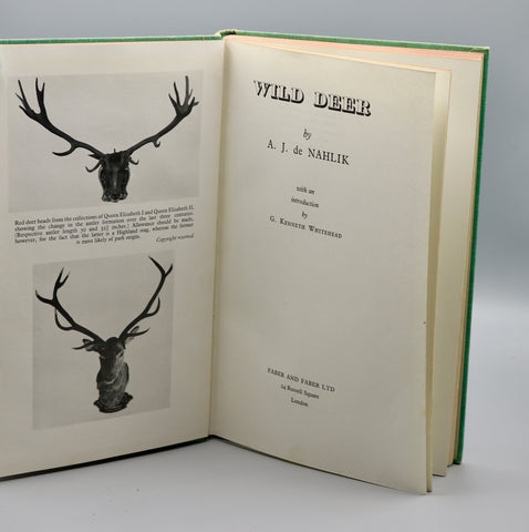 Wild Deer (1959)