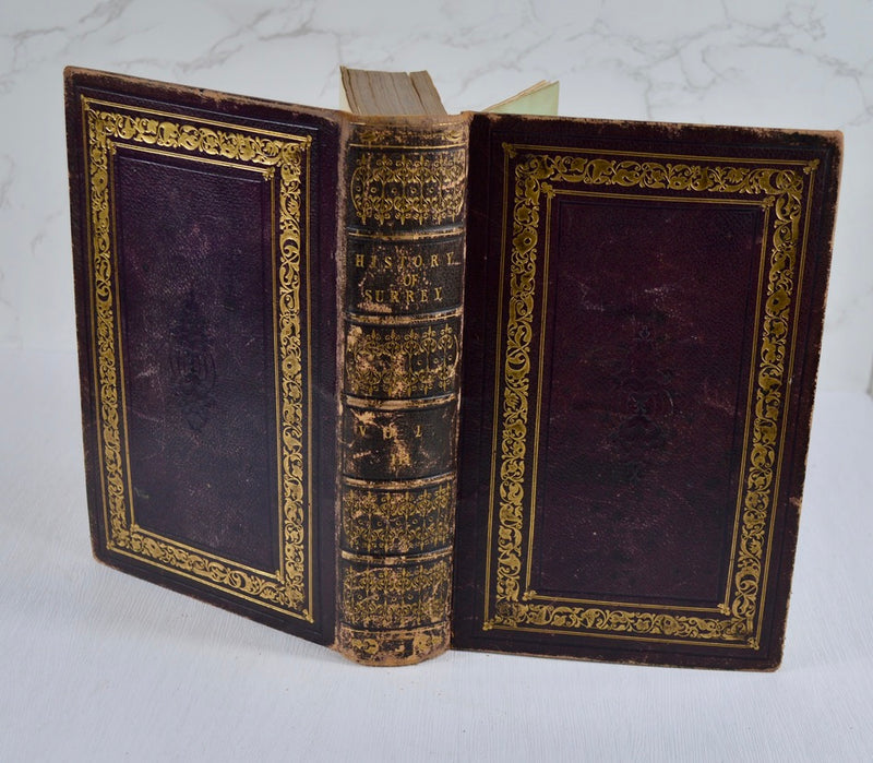 A Topographical History of Surrey (1841-48)