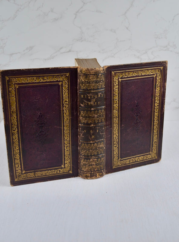 A Topographical History of Surrey (1841-48)