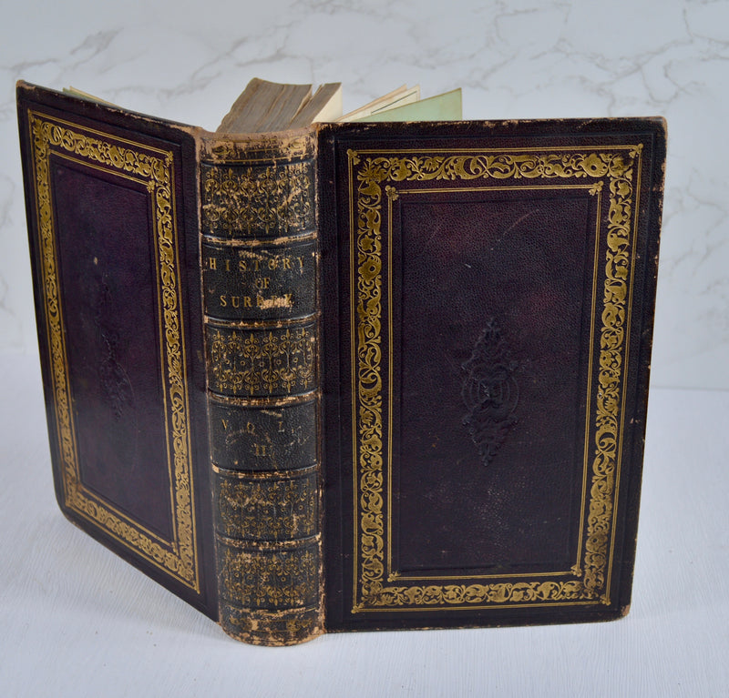 A Topographical History of Surrey (1841-48)