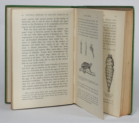 The Natural History of Aquatic Insects (1912)