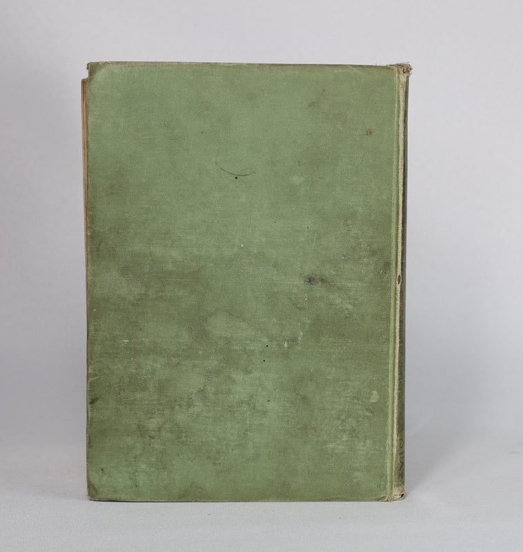 Celtic Fairy Tales (1892)