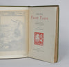 Thumbnail for Celtic Fairy Tales (1892)