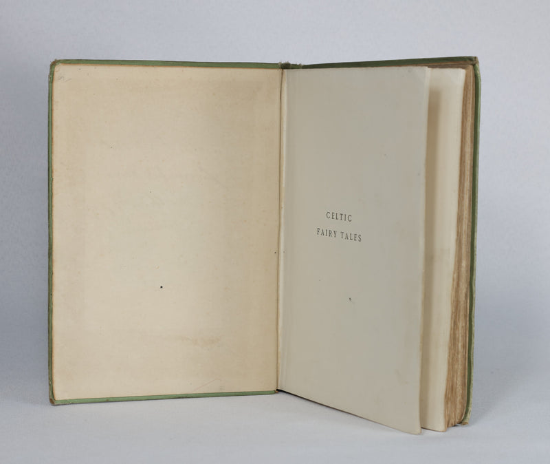 Celtic Fairy Tales (1892)