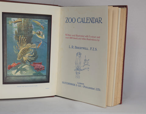 The Zoo Calendar