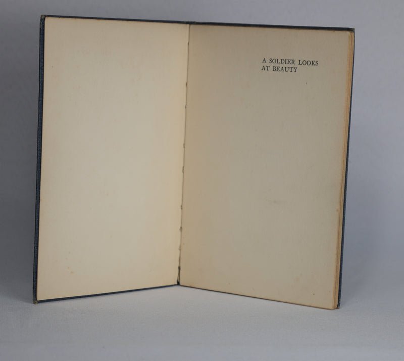 A Soldier Looks at Beauty (1928)