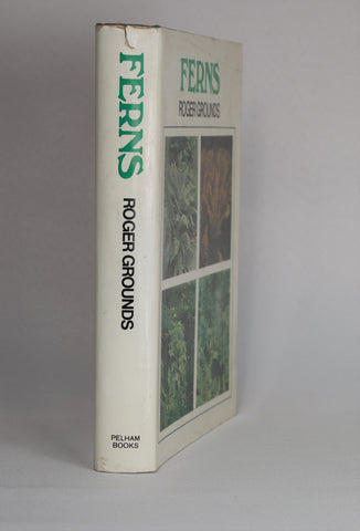 Ferns (1974)