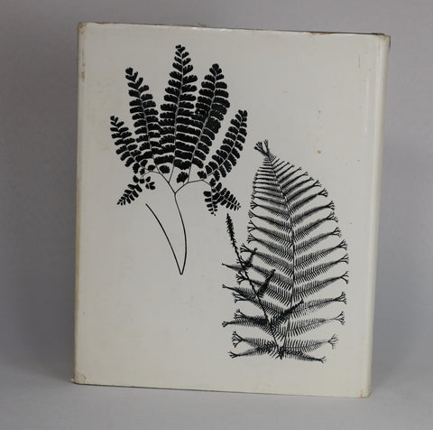 Ferns (1974)