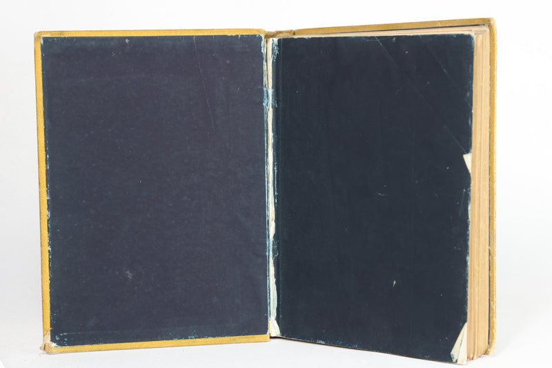The Golden Fairy Book (~1894)