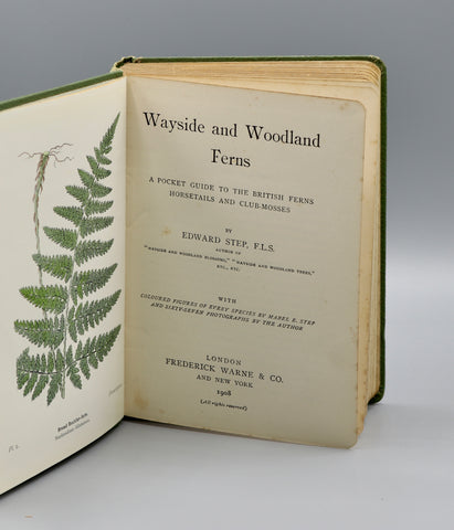 Wayside and Woodland Ferns (1908)