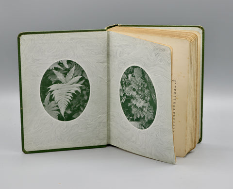 Wayside and Woodland Ferns (1908)