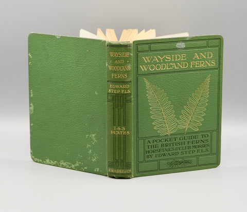 Wayside and Woodland Ferns (1908)