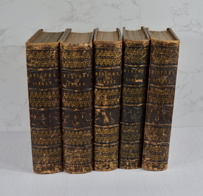 A Topographical History of Surrey (1841-48)