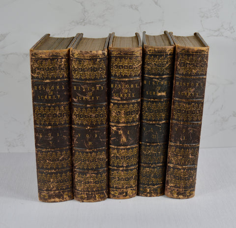 A Topographical History of Surrey (1841-48)