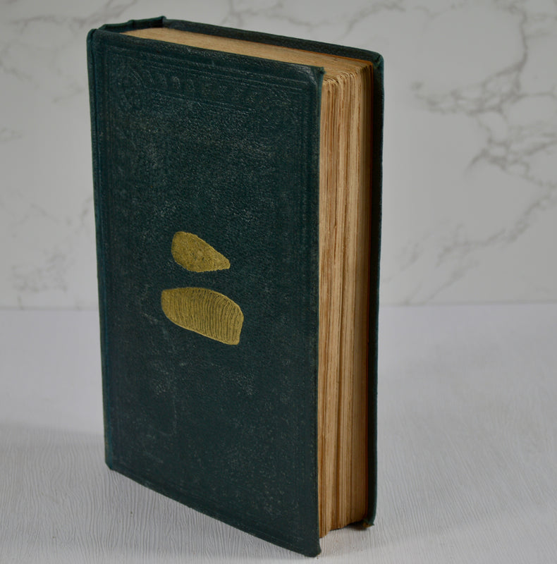 The Geological Evidences of the Antiquity of Man (1863)