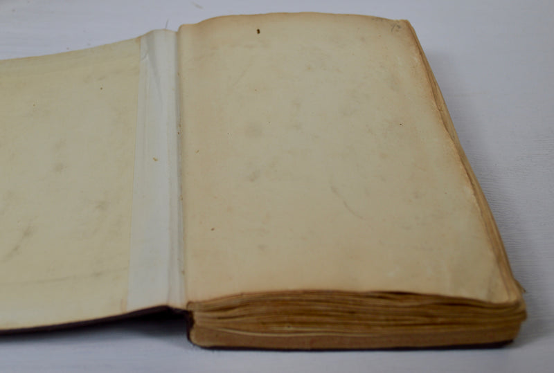 WWI Mesopotamia Diary with 100+ Photos, 25pp. & Pressed Flowers, 1916–1919