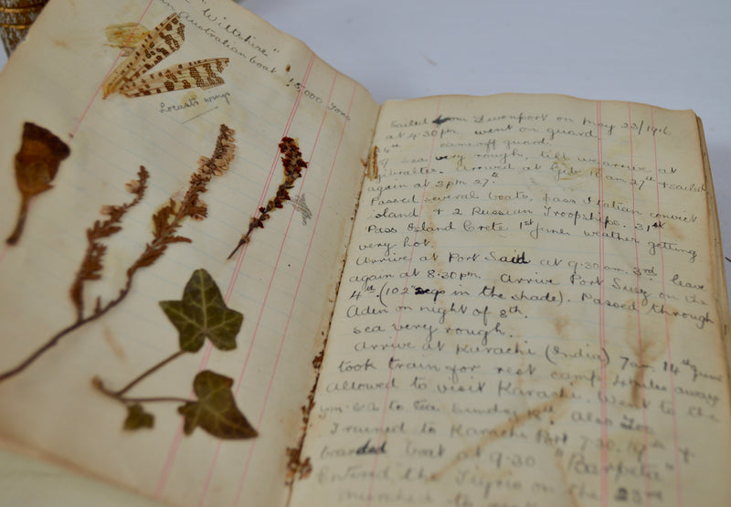 WWI Mesopotamia Diary with 100+ Photos, 25pp. & Pressed Flowers, 1916–1919