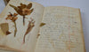 Thumbnail for WWI Mesopotamia Diary with 100+ Photos, 25pp. & Pressed Flowers, 1916–1919