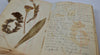 Thumbnail for WWI Mesopotamia Diary with 100+ Photos, 25pp. & Pressed Flowers, 1916–1919
