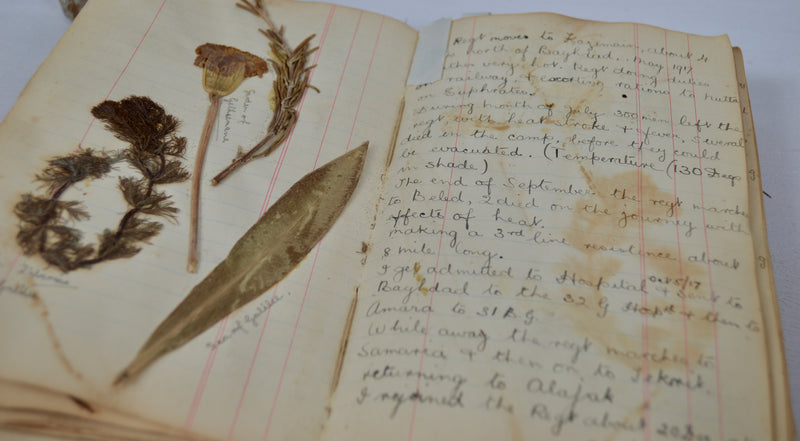 WWI Mesopotamia Diary with 100+ Photos, 25pp. & Pressed Flowers, 1916–1919