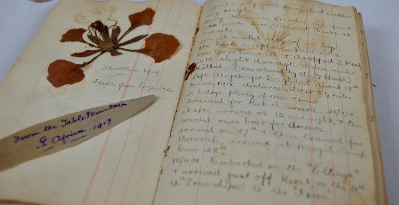 WWI Mesopotamia Diary with 100+ Photos, 25pp. & Pressed Flowers, 1916–1919