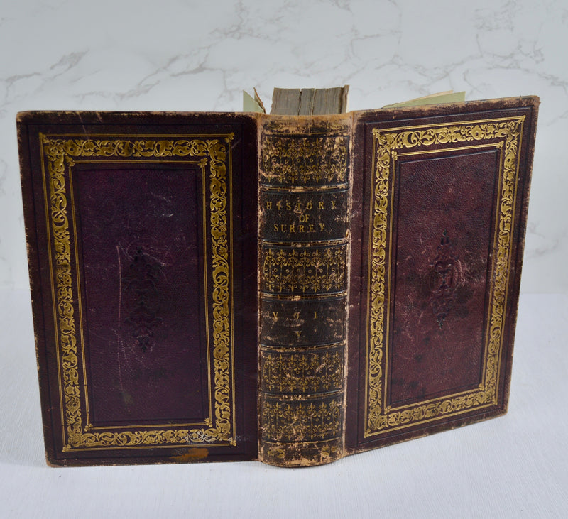 A Topographical History of Surrey (1841-48)