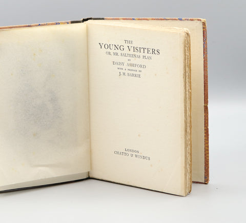 The Young Visiters; Or, Mr. Salteenas Plan (1919)