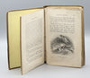 Thumbnail for Masterman Ready, Vol. I (1853)