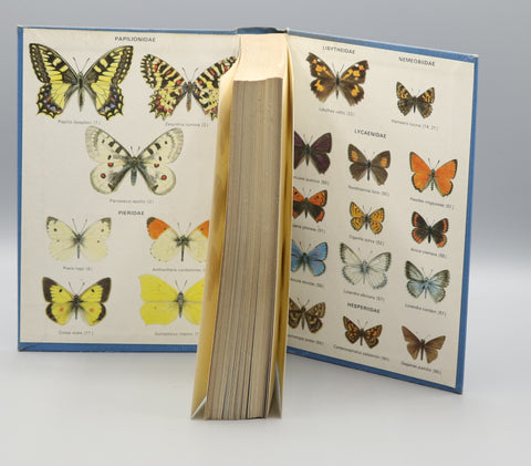 A Field Guide to the Butterflies of Britain and Europe (1970)